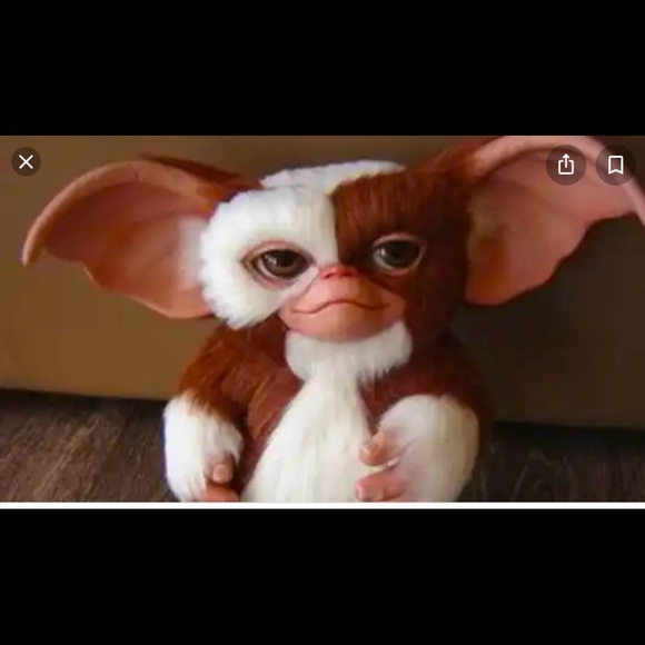 Meet your Posher, Tennile - Picture 1 of 1